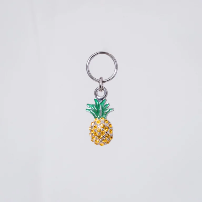 Ananas Glam