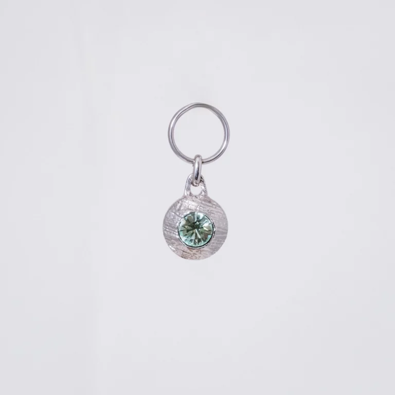 Circle Mint Silver